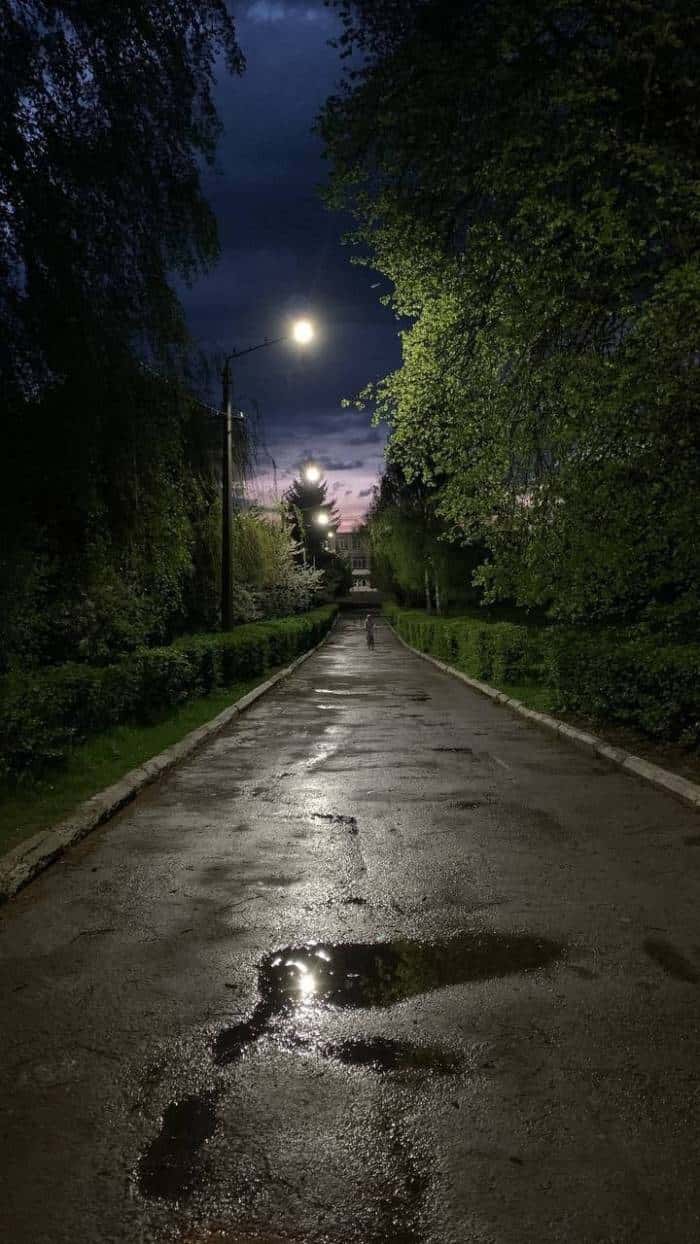 Quiet Night Path with Puddles — desktop wallpaper