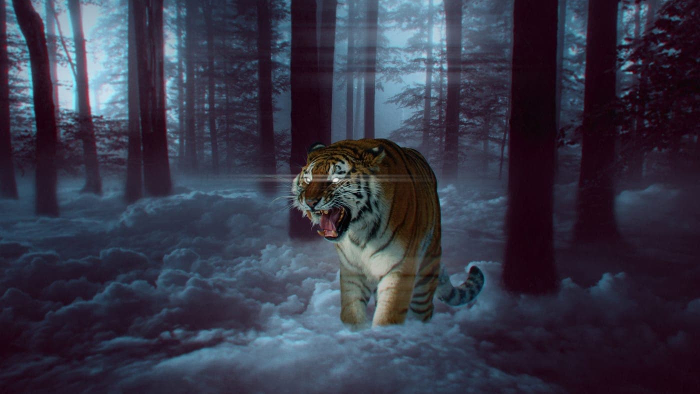 Clean Up Your Screen: The Best Aesthetic Wallpapers for Phone and Desktop in 2026