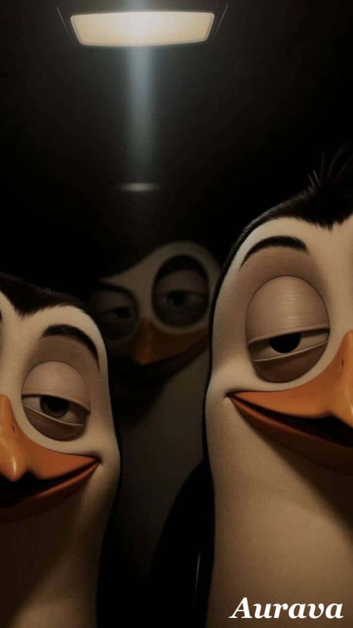 Mischievous Penguins in the Dark — phone wallpaper