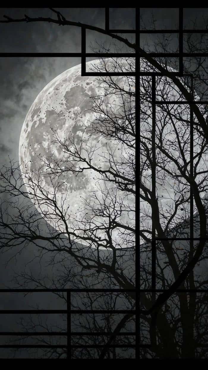 Dark Branches Full Moon — phone wallpaper